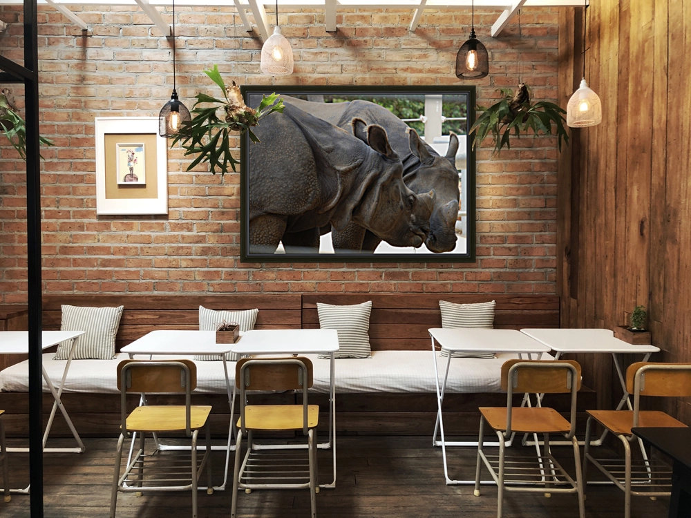 Rhino 1_00021 Reproduction