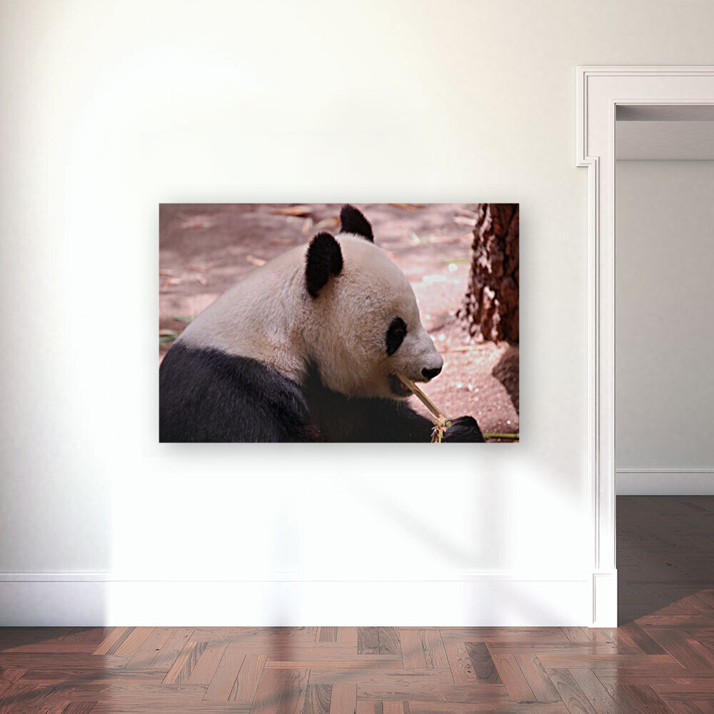 Panda 5_00019 Reproduction