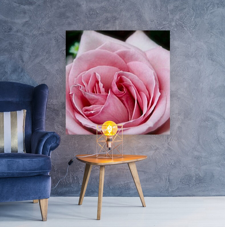 Rose03_00003 Reproduction