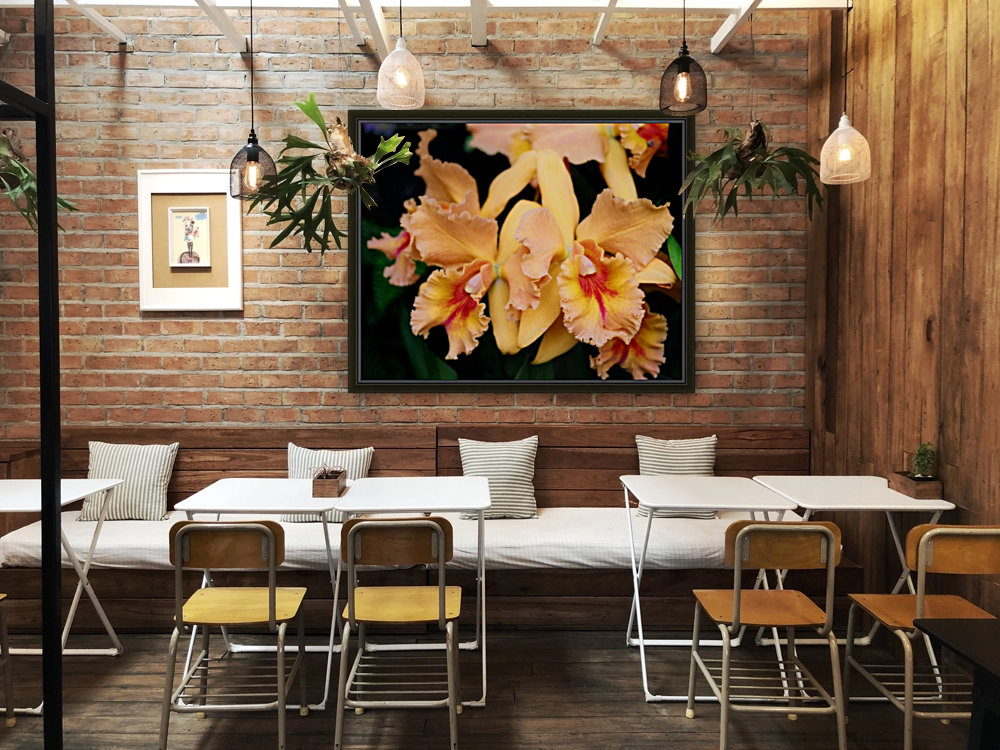 Orchid_00002 Reproduction
