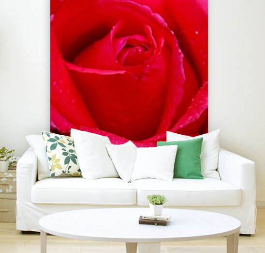Rose05_00005 Reproduction