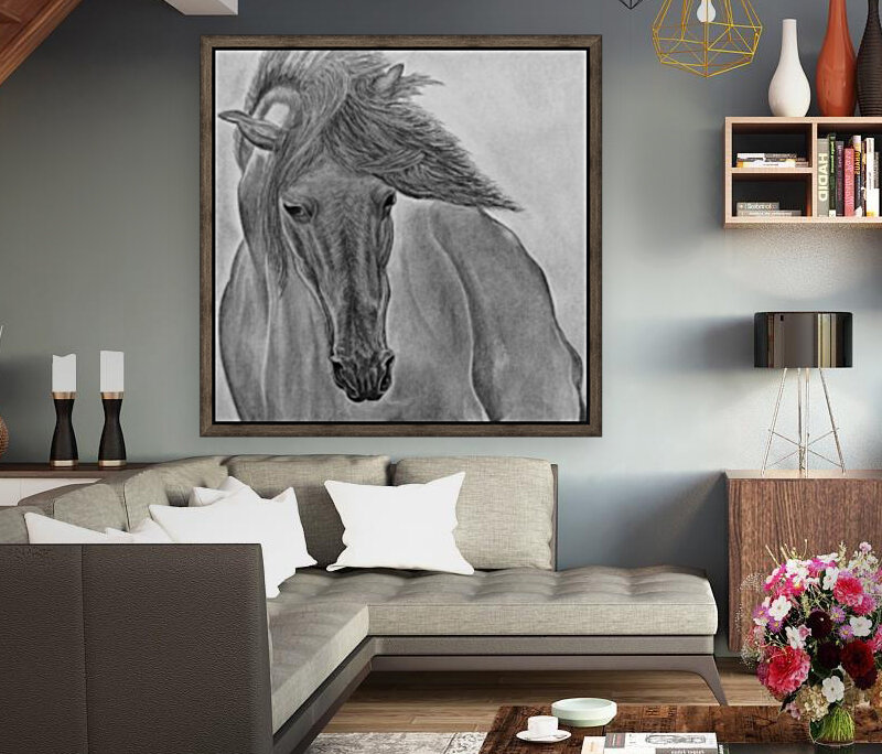 Wild Horse  Reproduction