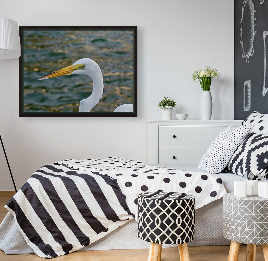 Bird 17 Reproduction