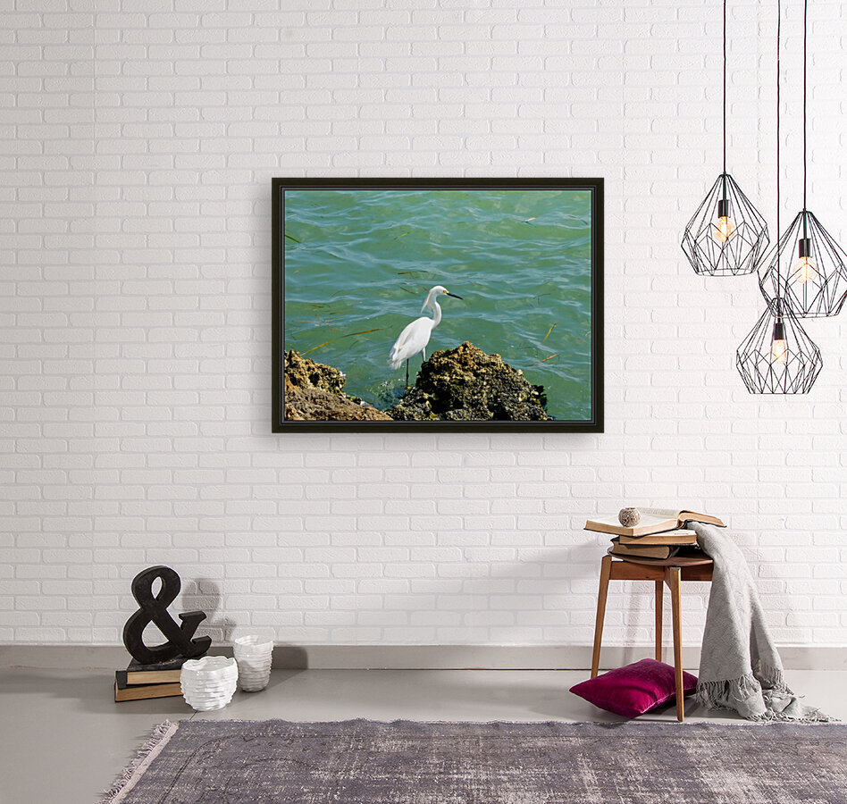Bird 16 Reproduction
