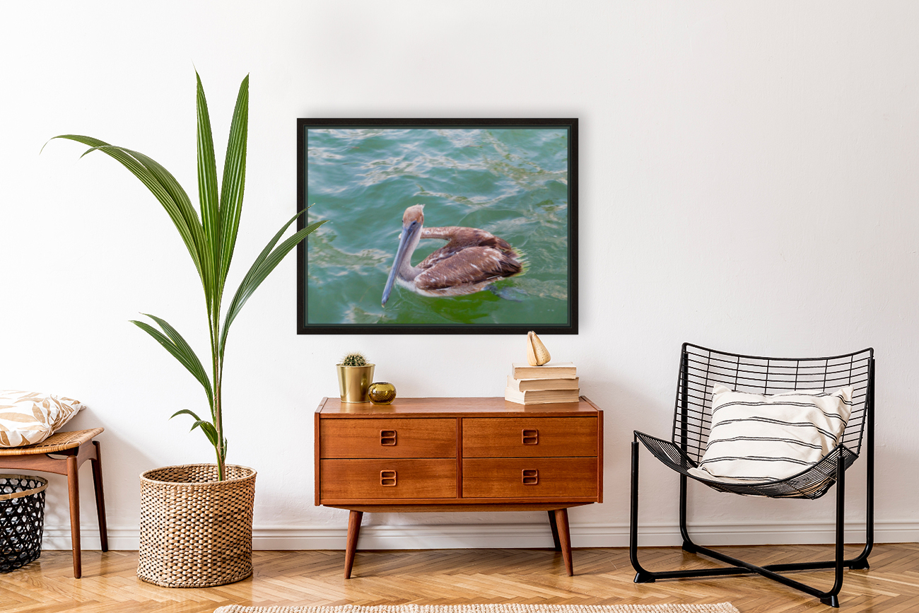 Bird 11 Reproduction