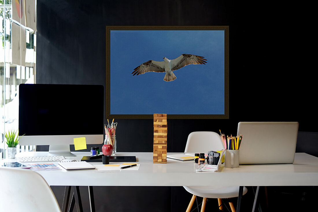 Bird 6 Reproduction