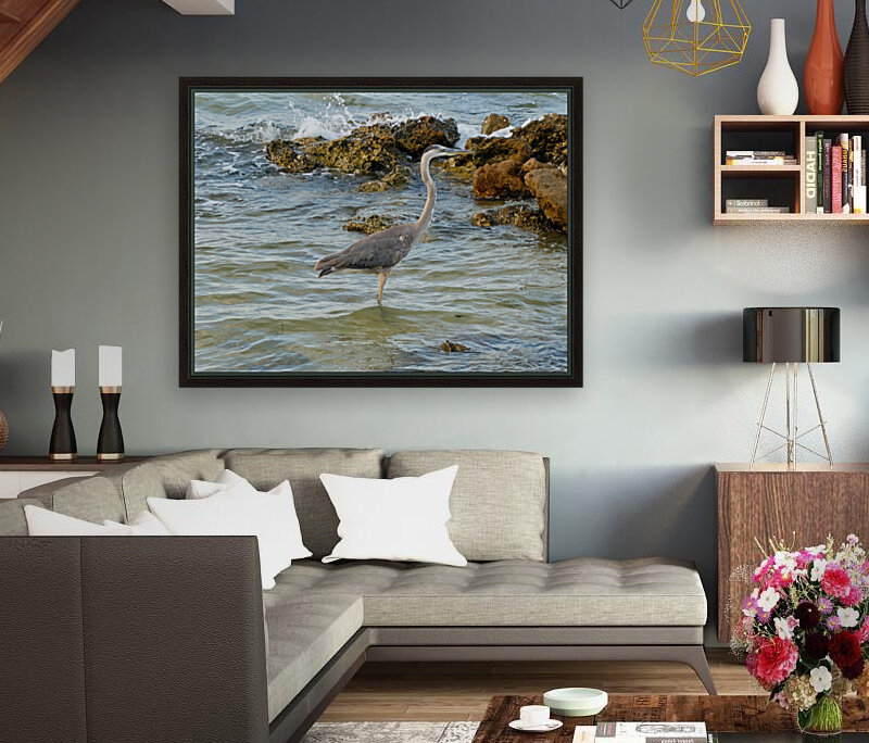 Bird  1  Reproduction