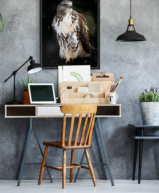Hawk 01_00011 Reproduction