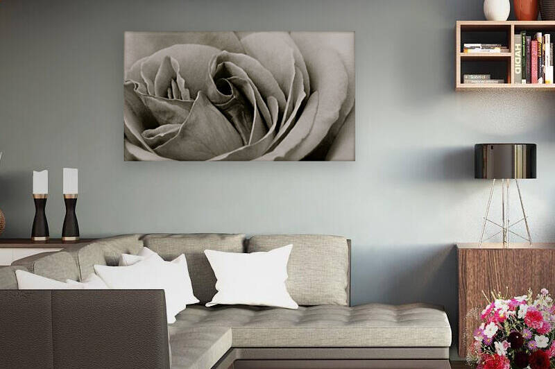Rose04_00004 Reproduction