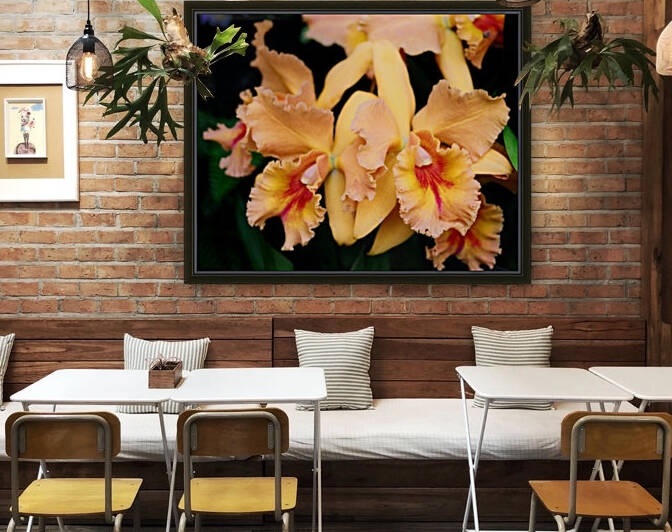 Orchid_00002 Reproduction