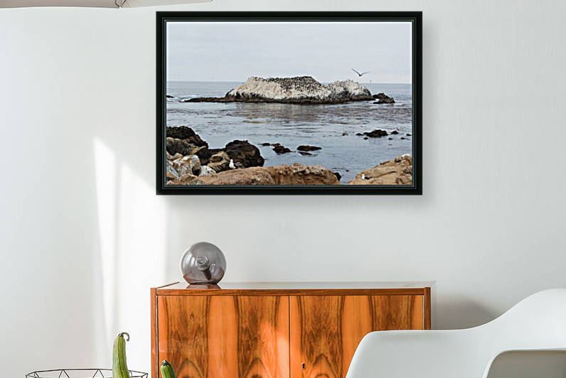CA 09_00009 Reproduction