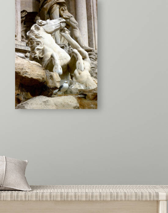 Rome Italy 4 by Morteza Golpoor