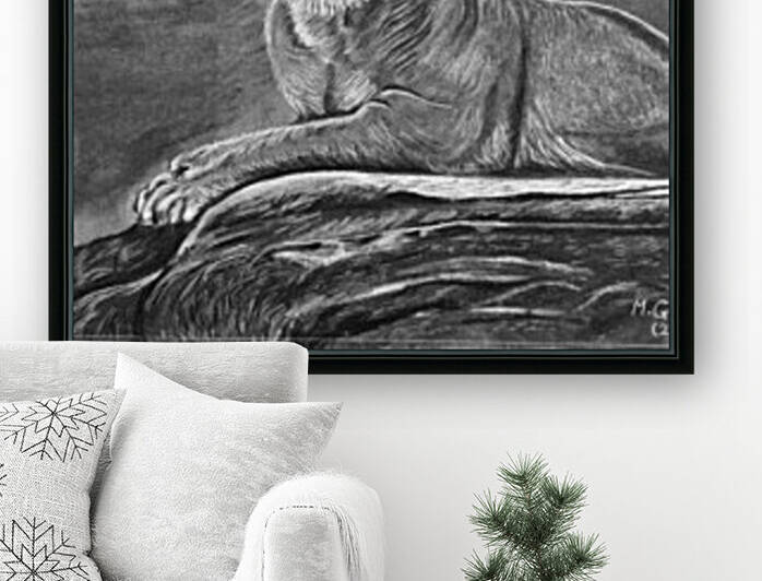 Lioness on Rock  by Morteza Golpoor