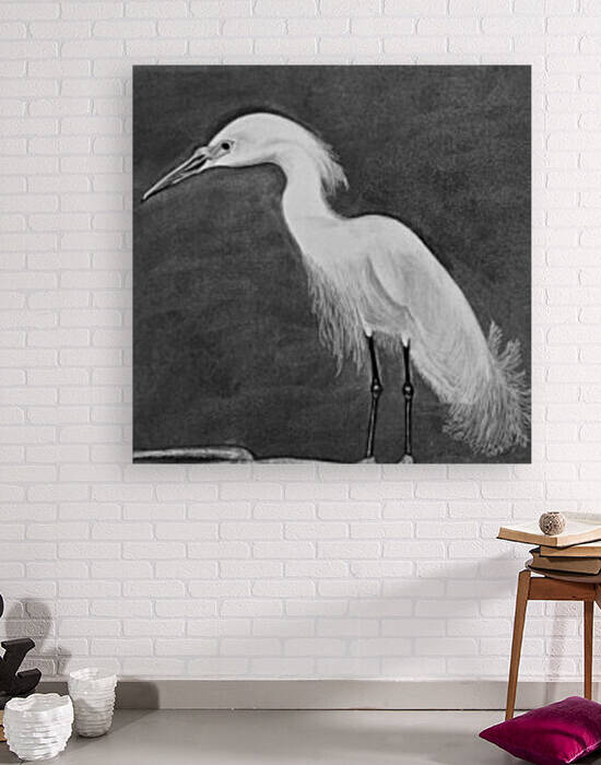 Snowy Egret by Morteza Golpoor