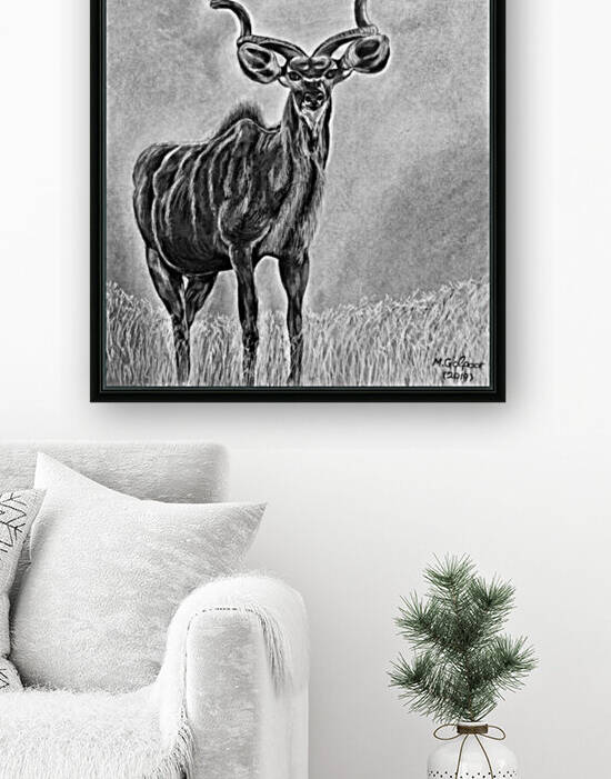 South African Great Kudu by Morteza Golpoor