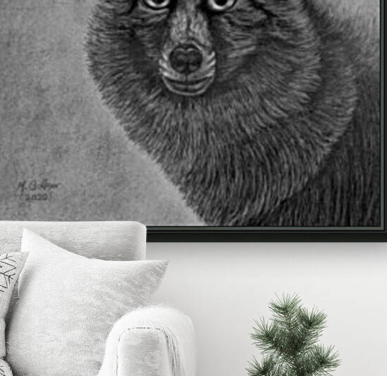 Breckinridge Fox by Morteza Golpoor