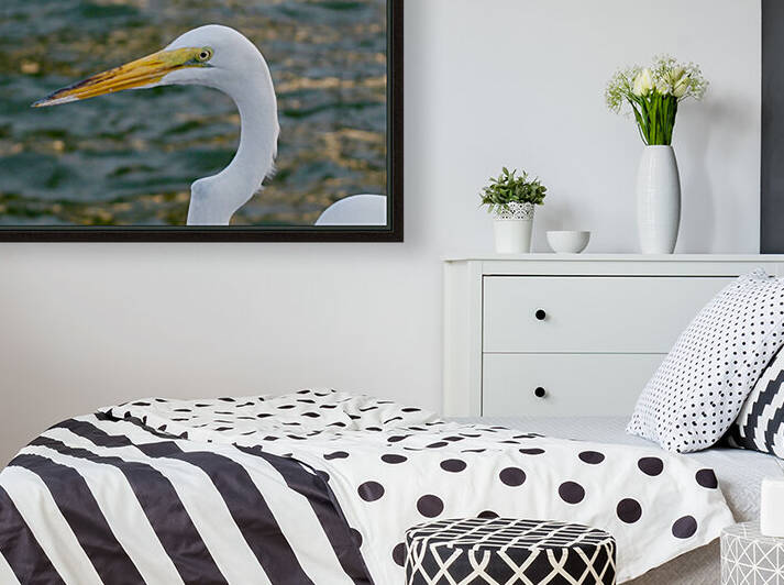 Bird 17 by Morteza Golpoor