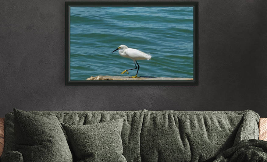 Bird 14 by Morteza Golpoor