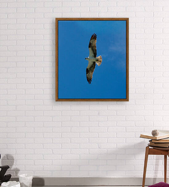 Bird 13 by Morteza Golpoor