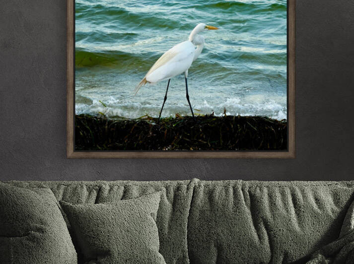 Bird 10 by Morteza Golpoor