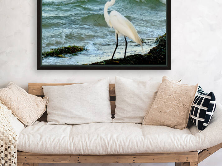 Bird 7 by Morteza Golpoor