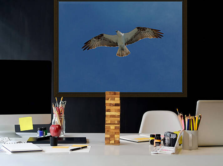 Bird 6 by Morteza Golpoor