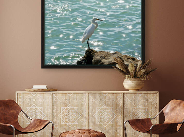 Bird 4 by Morteza Golpoor