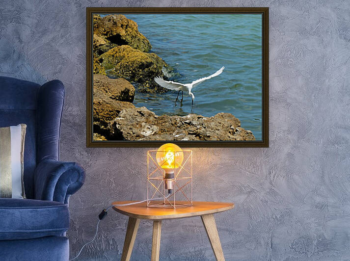 Bird 3 by Morteza Golpoor
