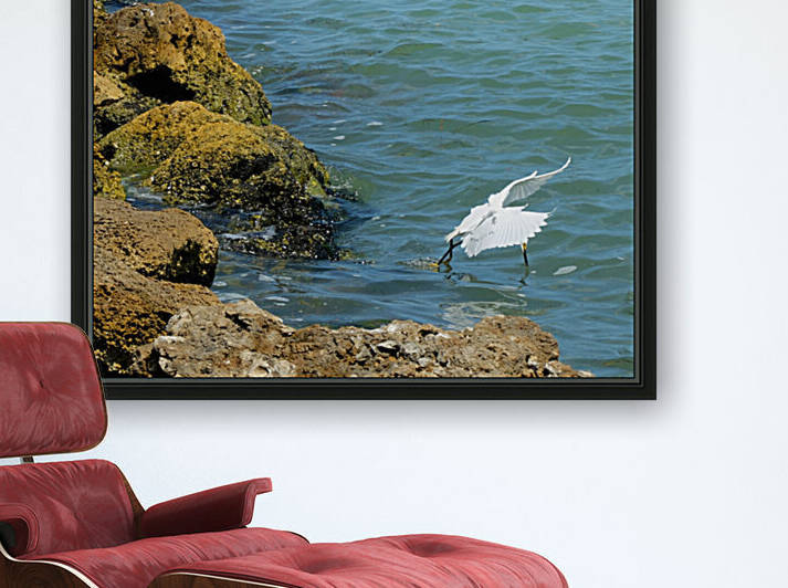Bird 2 by Morteza Golpoor