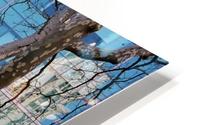 Abs 03_00002 HD Metal print