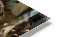 Abs 04_00003 HD Metal print