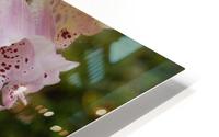 Flower Mix 13 HD Metal print