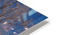 Sedona -8 HD Metal print