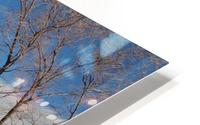 Sedona-7 HD Metal print