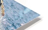 Alaska HD Metal print