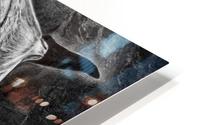 Longhorn  HD Metal print