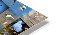 Florida 36 HD Metal print