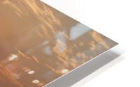 Sunset 2 HD Metal print