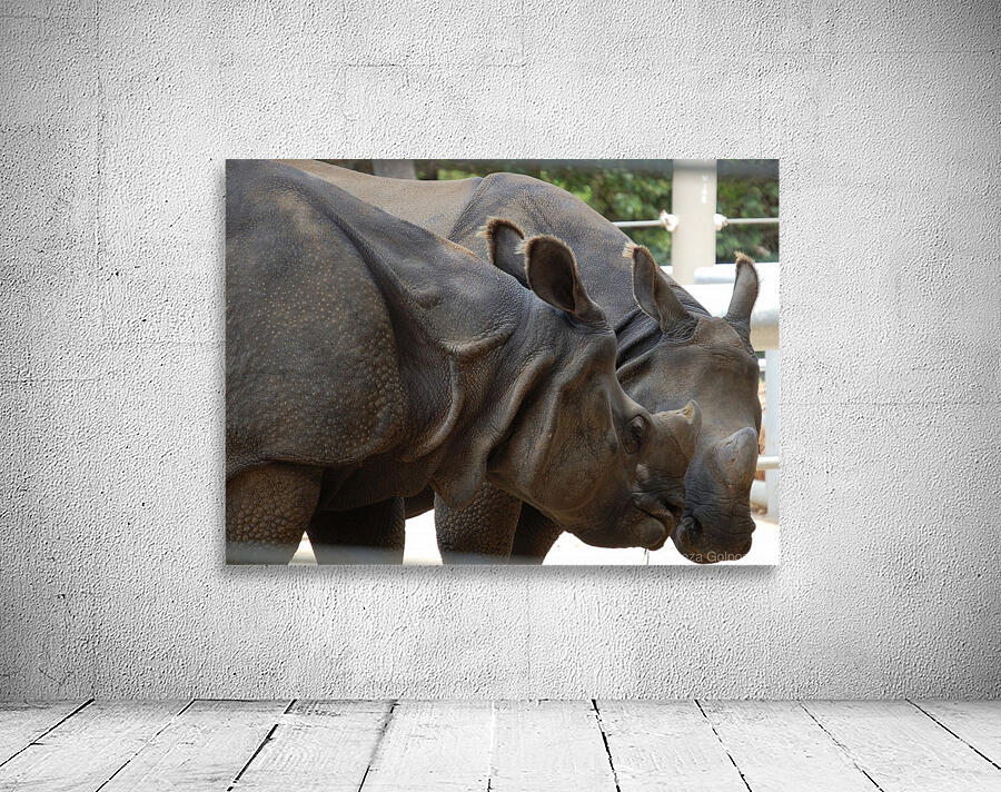Rhino 1_00021 Wall Preview