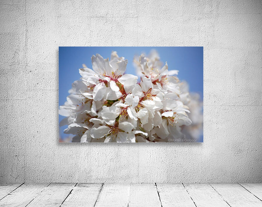 Flower Mix 09 Wall Preview