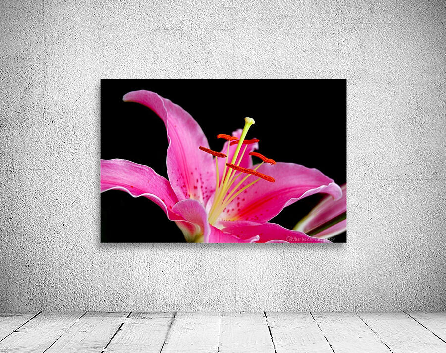 Flower Mix 10 Wall Preview