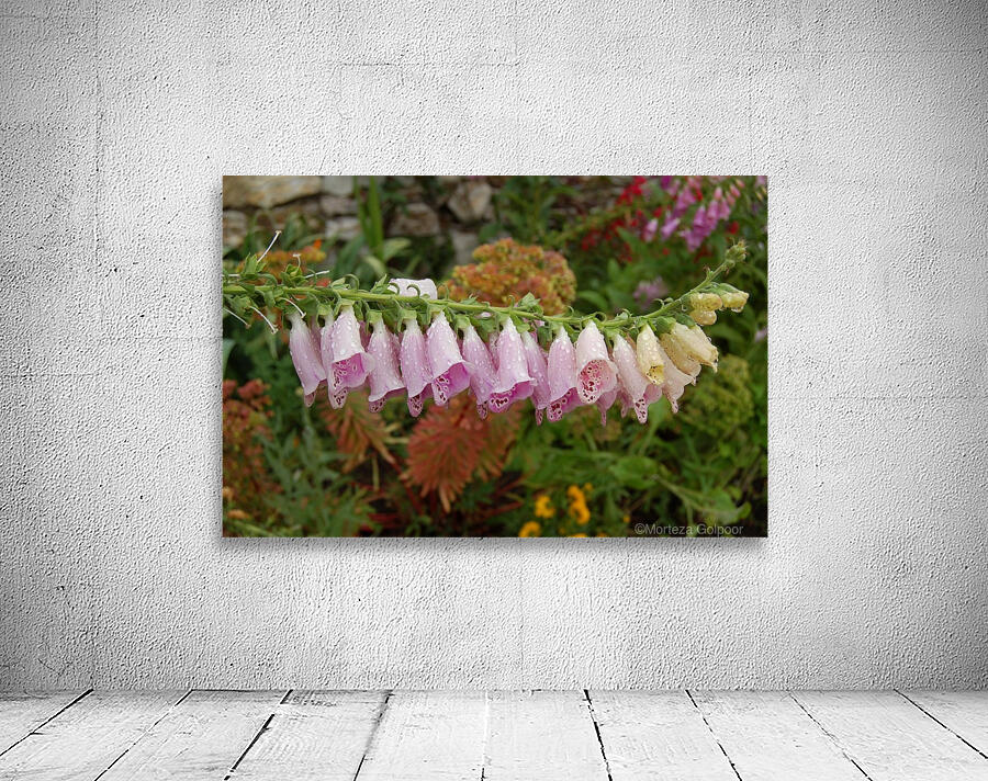 Flower Mix 12 Wall Preview