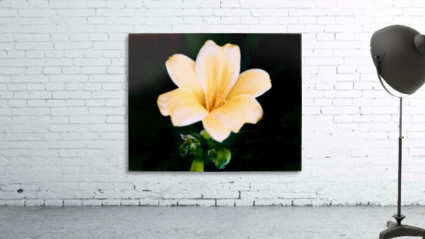 Flower Mix 16 Wall Preview