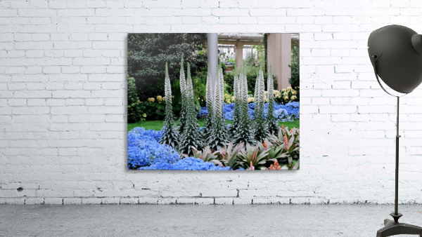 Flower Display 01 Wall Preview