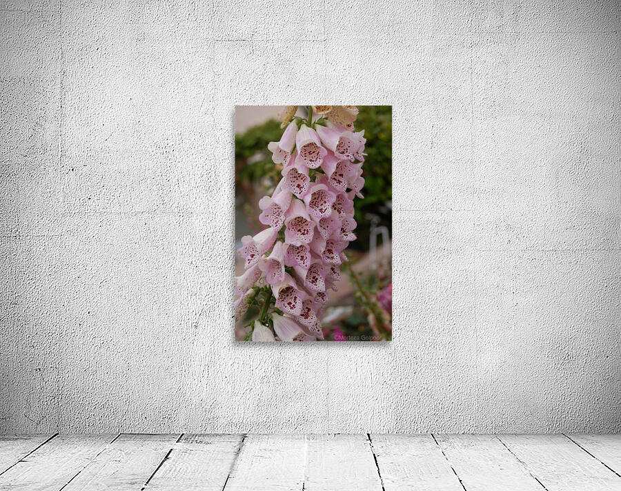 Flower Mix 13 Wall Preview