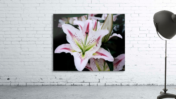 Flower Mix 03 Wall Preview