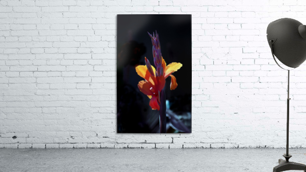 Flower Mix 18 Wall Preview