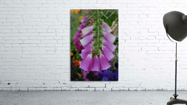 Flower Mix 14 Wall Preview