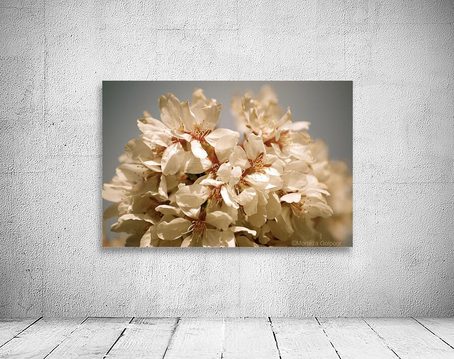 Flower Mix 17 Wall Preview
