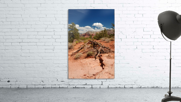 Sedona -17 Wall Preview